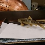 田ざわ - 稚アユ