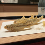 わたなべ - もろこ