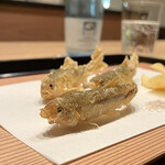 わたなべ - もろこ