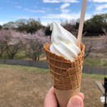 ISONUMA MILKSTAND - みるくソフト・480円。その場でLINE登録して100円引きで380円に♡