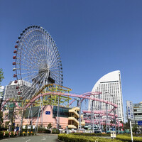 大志満 横浜店 - 