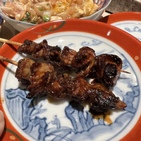 始祖鳥 - 