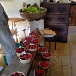 TUMUGI農場イチゴ園 TUMUGI舎 - 料理写真: