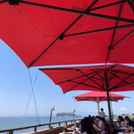 アマルフィイ デラセーラ - 