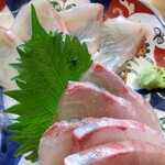 Sushi Sakaba Sushitofuji - 