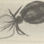 一期一会 よねさん - 