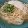 純手打 うどん屋 - 料理写真:2023.04・山かけうどん 500円 + 大盛 170円