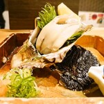 Rock Oyster from Amakusa