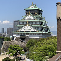 BLUE BIRDS ROOF TOP TERRACE - 