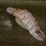 鮨匠 のむら - シャコ（茹でたて）