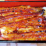 鰻元 - 憧れの「鰻ちゃん」