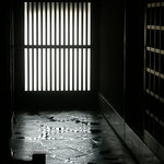 柚の木 - この雰囲気！