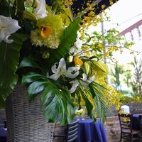 BISTRO FAVORI 代官山 - 