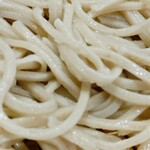 Syunsyokusyu teuchisoba tamagawa - 蕎麦アップ