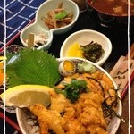 カフェウミネコ 放浪記 - 生ウニ丼