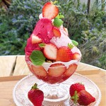 Gelato Cafe Monte Rose - 苺のジェラートパルフェ