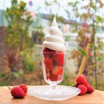 Gelato Cafe Monte Rose - 苺＆ソフトクリーム