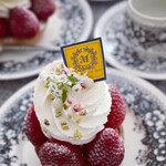 マコトエバラ×モンレアル - 