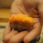 寿し 京町堀 佐藤 - 雲丹