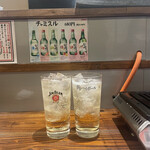 トリ屋のトリはキチンとチキン 南船場店 - 