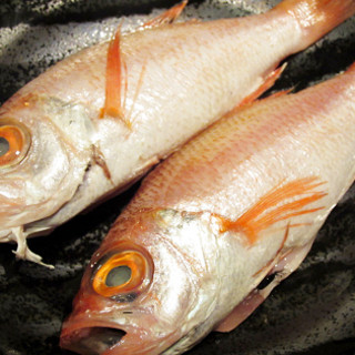 わ食場 はす家_2