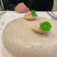 RISPETTO - 