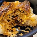 うなぎ料理 丑松 - うなぎ丼 特上