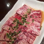 toukaienshinisenomeitenyakiniku - 