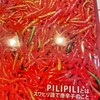 PILIPILI - 