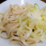 たけ川うどん - 温 肉つけうどん(中)