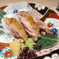 始祖鳥 - 