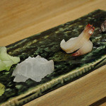 越乃 - （おつまみコース）お造り