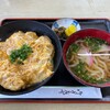 丸純うどん