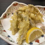 Niigata No Meshi To Sake Horoyo In E Niigata Ekimaeten - 