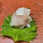 鮨匠 のむら - 勘八幼魚【汐っ子】背身