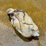鮨匠 のむら - 煮牡蠣