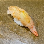 鮨匠 のむら - 波管髭海老【ナミクダヒゲエビ】
