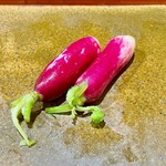 鮨匠 のむら - 浅漬け廿日大根