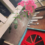 Tarte Cafe - テラスには可愛いピンクの薔薇がお出迎え