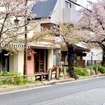 トレファツィオーネリオ - 【2023年4月撮影】桜、満開すぎ、、