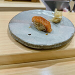 こい勢 - サクラマス