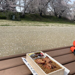 yuugengaishatsukumodorihompo - 九十九鶏弁当と桜吹雪