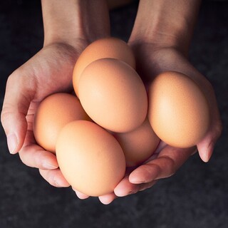 こだわりの素材とベストな配分を導きつくりあげた生地