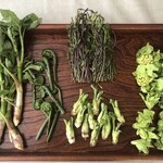 和菜 れとろ - 春限定　新潟魚沼十日町直送　山菜