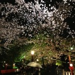 水だき 萬治郎 - 桜のシーズンでした♪