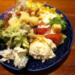 ブロンコビリー - サラダ盛り合わせ！