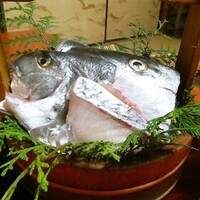 魚めし 竹亭 - ニベ、鯛、鰤から選びます