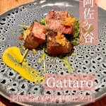 Gattaro - 