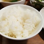 キッチン ブルー グローブ - ご飯大盛りのアップ