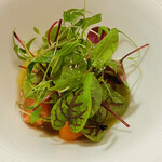 エヴォリュエ - 白人参のムース 信州サーモンとイクラ 人参パリジャン 甲殻類のジュレ